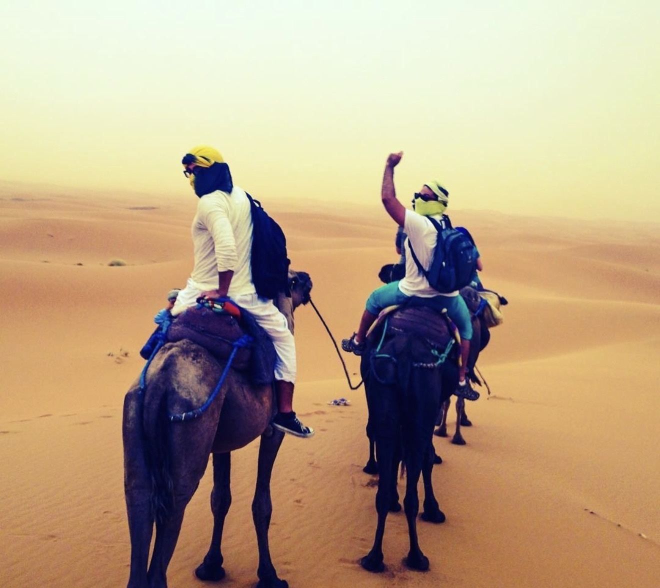 Camel trek in the Atlas Mountains
